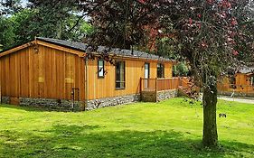 Loch Lomond Castle Lodges Skyline 1